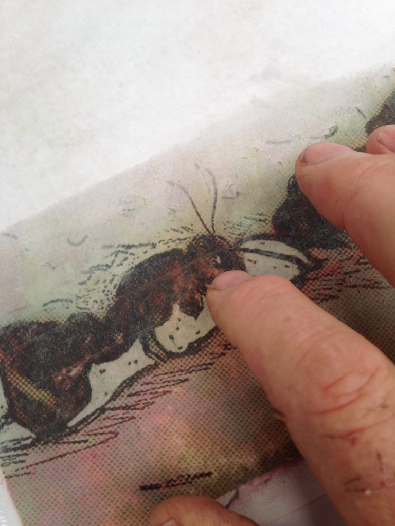 Photo of fingers rubbing away damp paper to expose the ink pigment held by an acrylic substrata