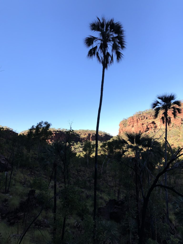 Photo from escarpment Judbarra/Gregory National Park