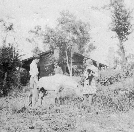 Photo. Jim and Molly with horse at Warrandyte outside cottage rented from Alec Smith.